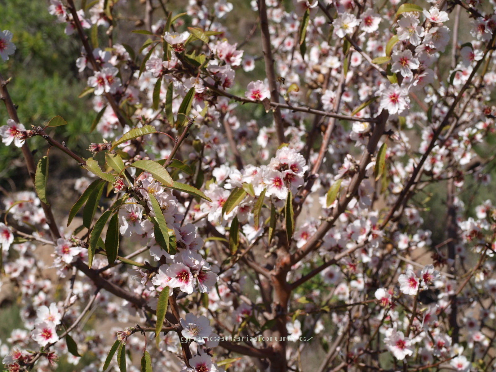 P1195266_resize