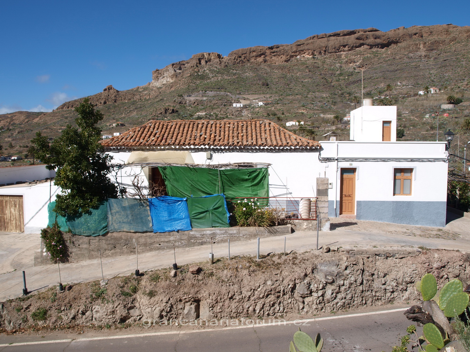 P1195328_resize