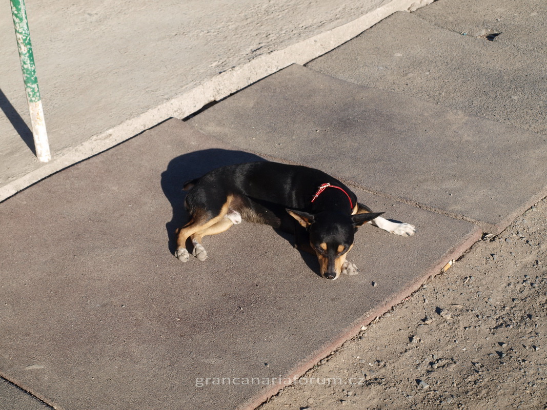 P1275527_resize