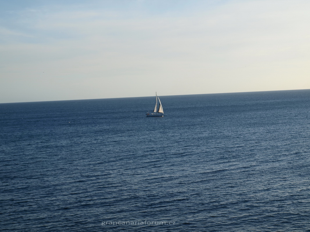 P1175238_resize