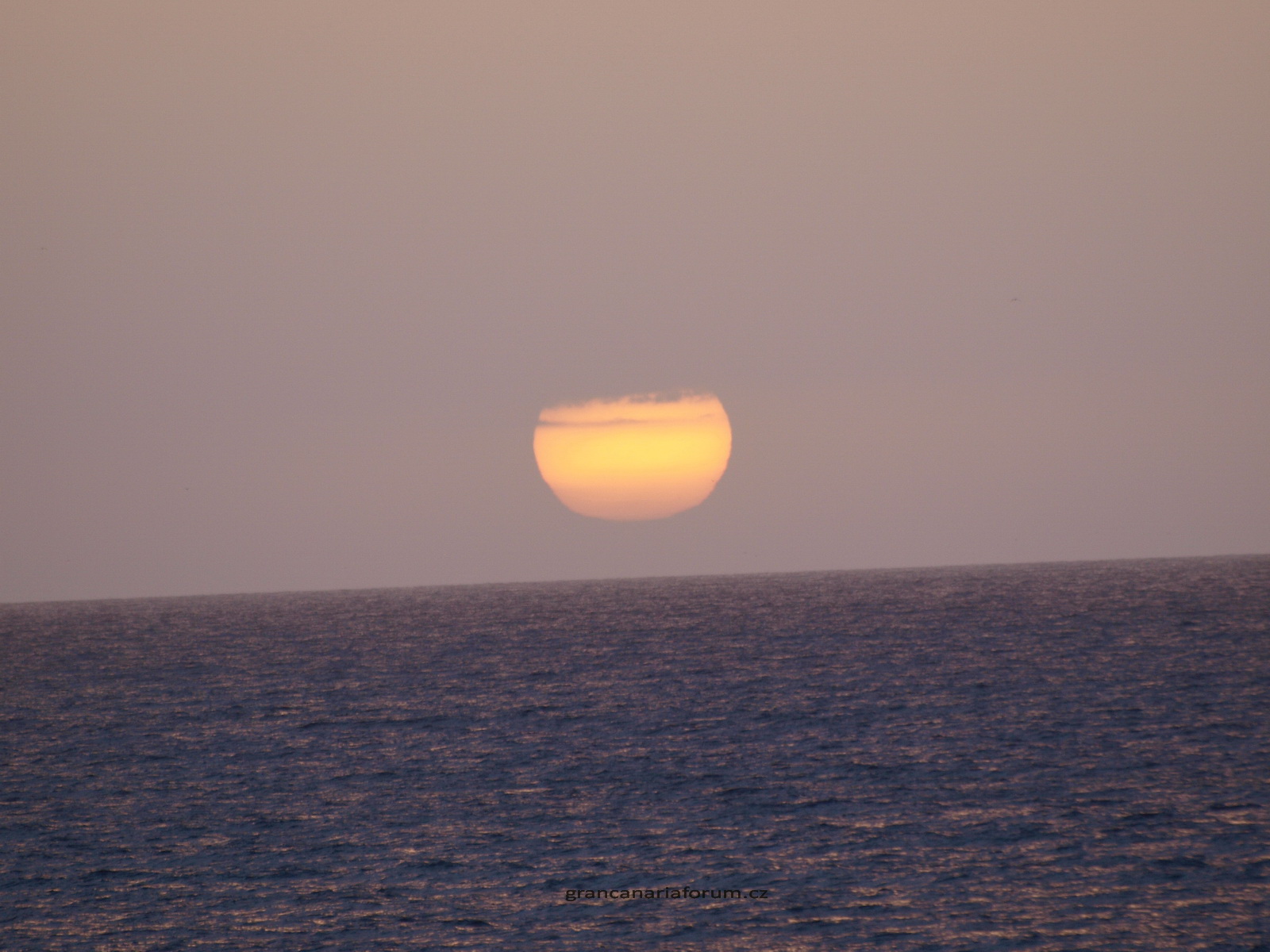 P2075865_resize