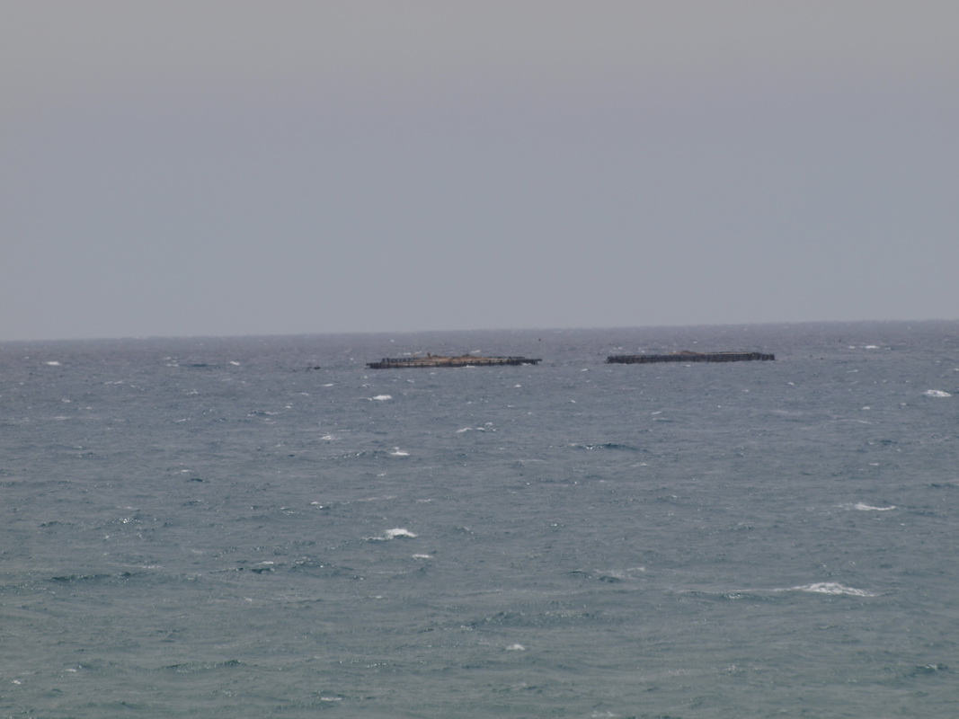 217_resize