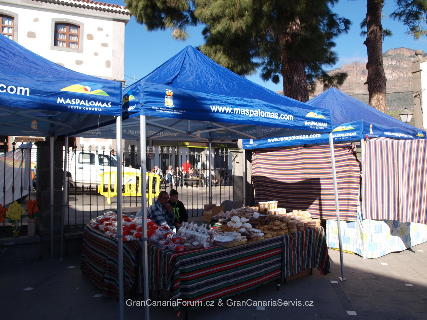 P1259114_resize