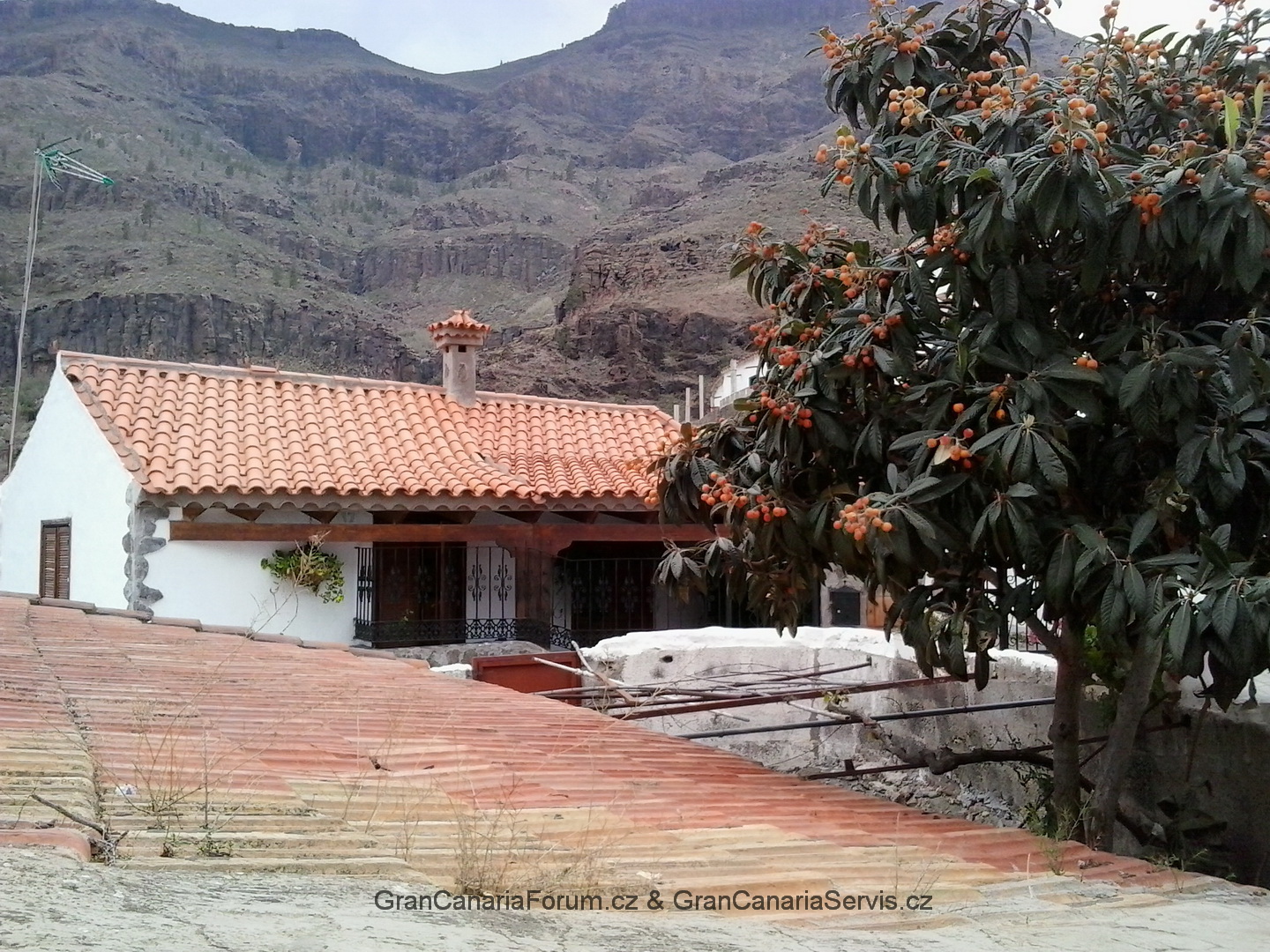 128_resize