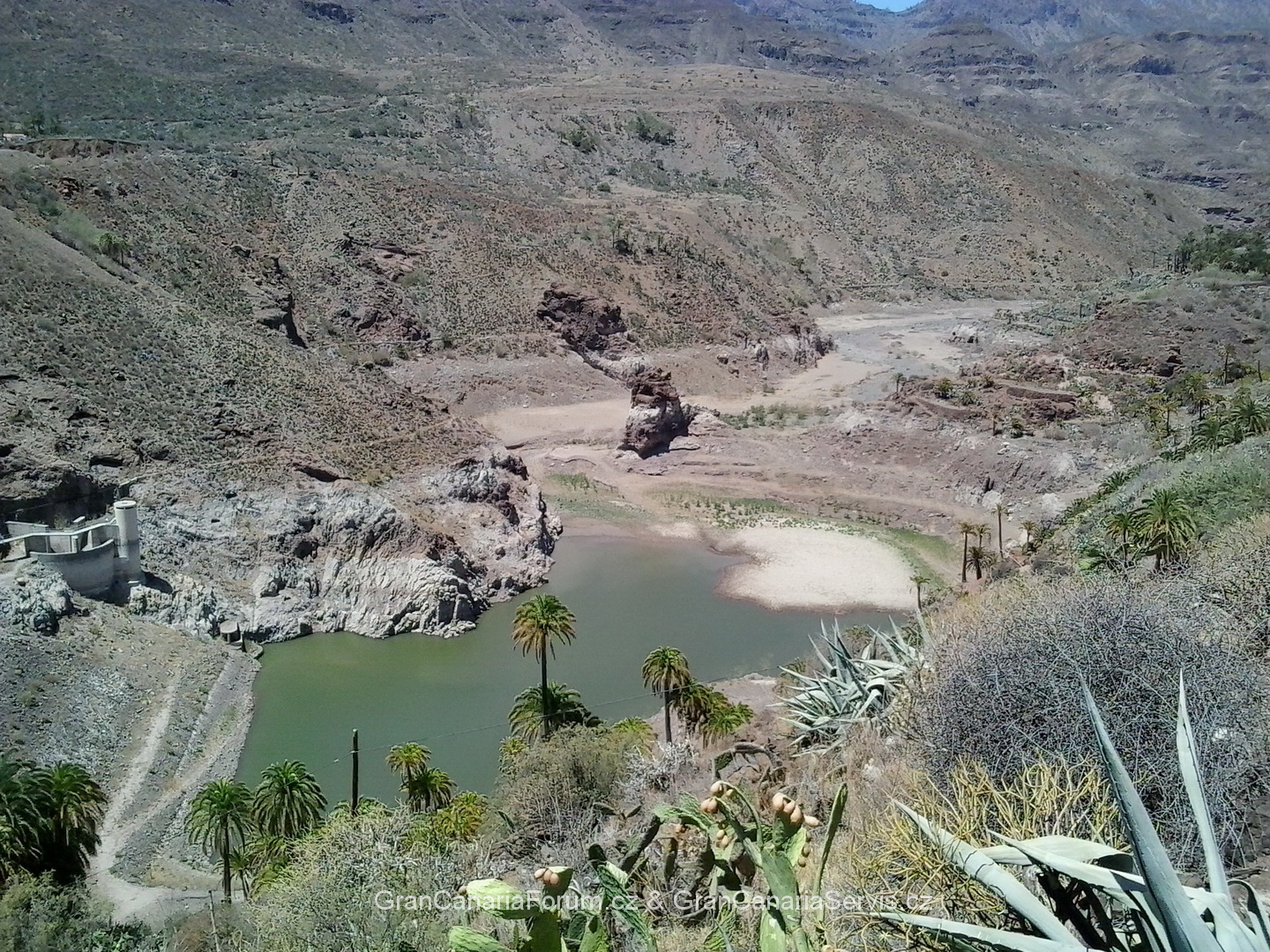 006_resize