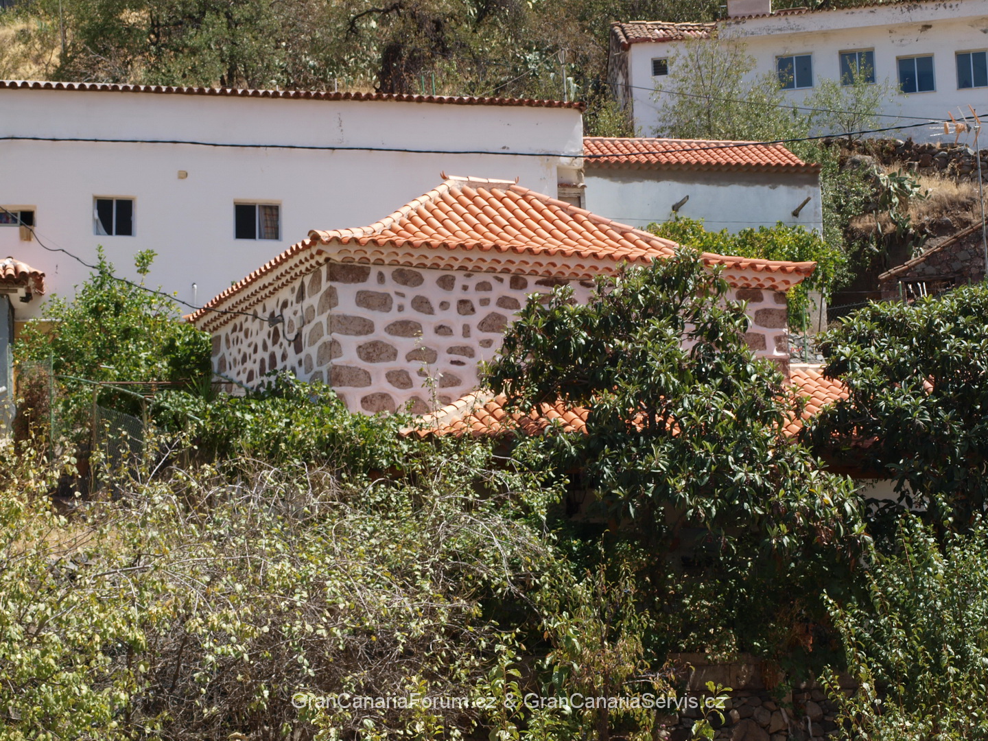 P9231372_resize