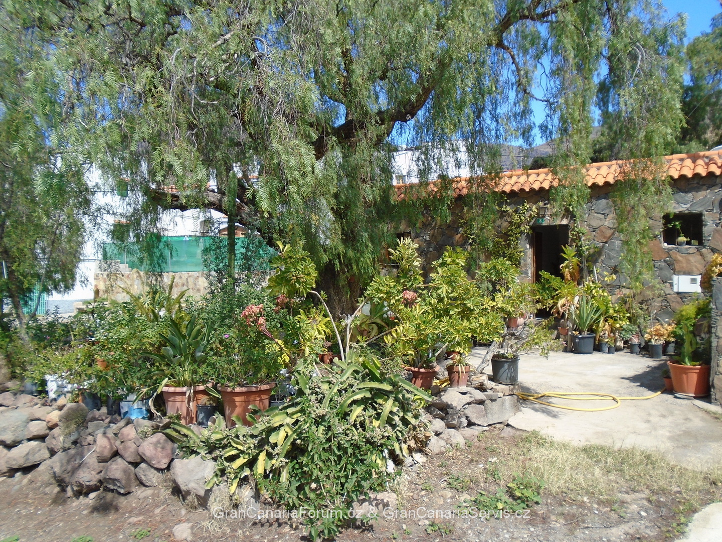 022_resize