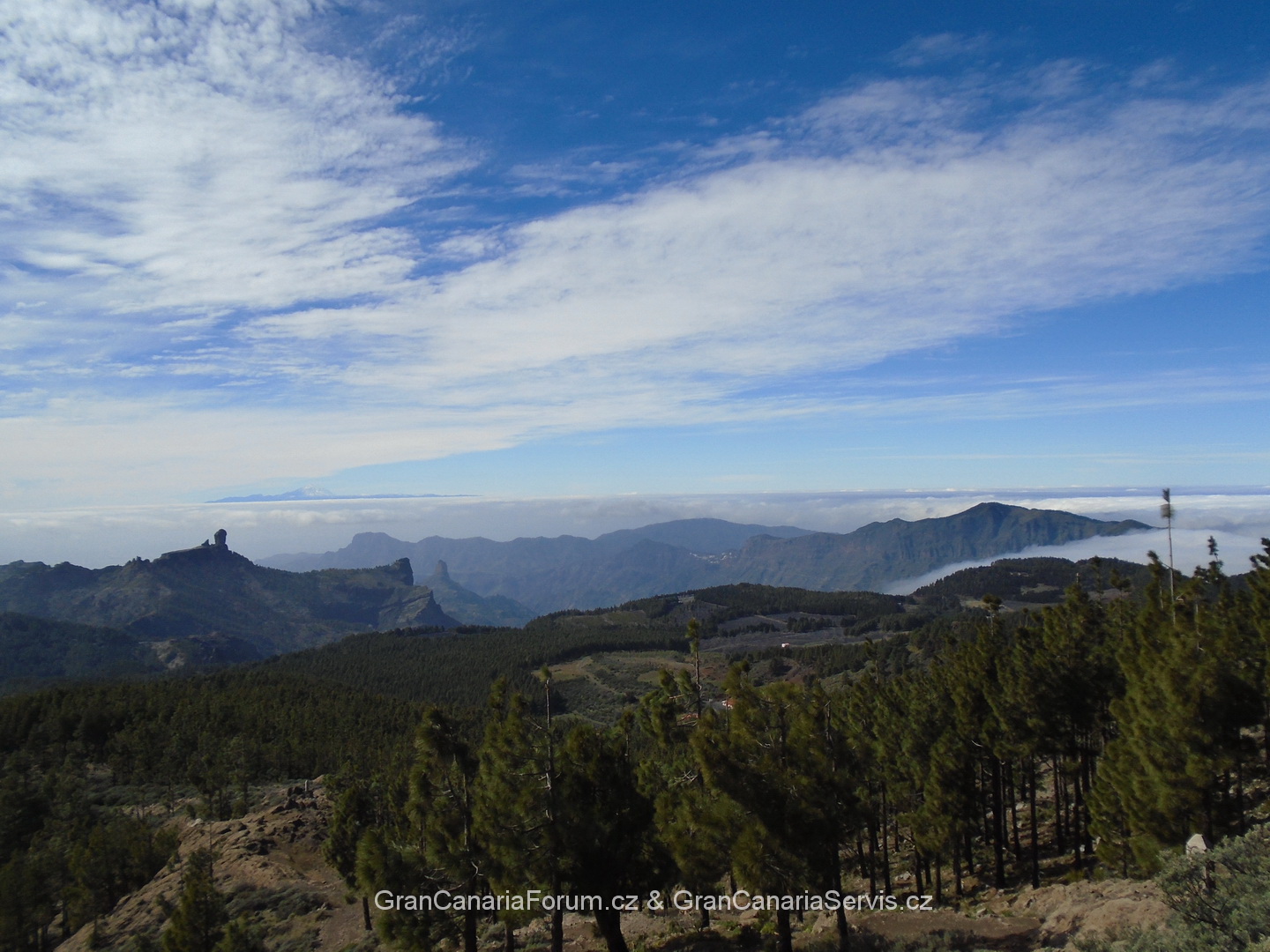 011_resize