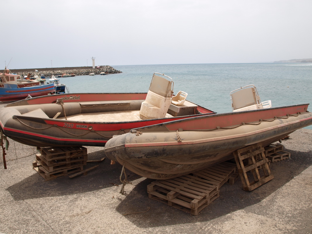 246_resize