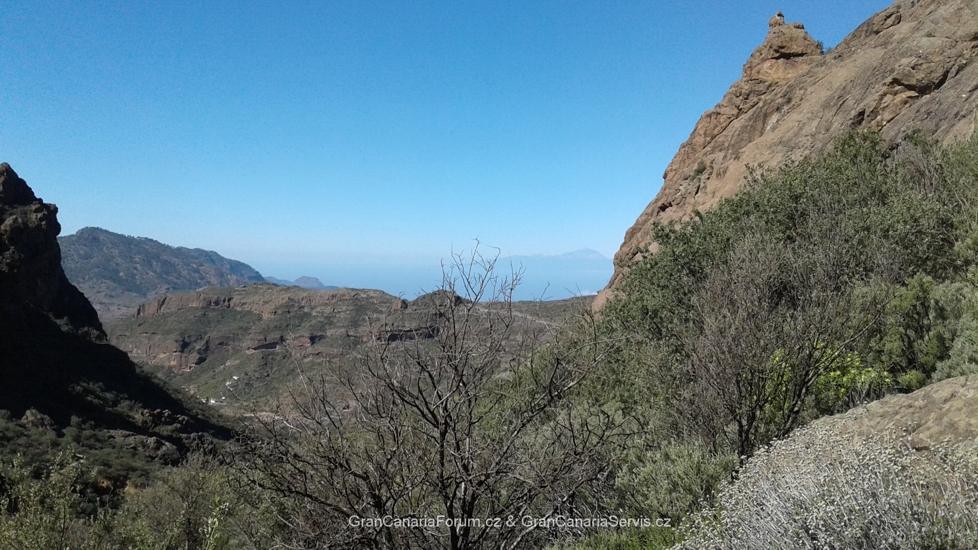 010_resize