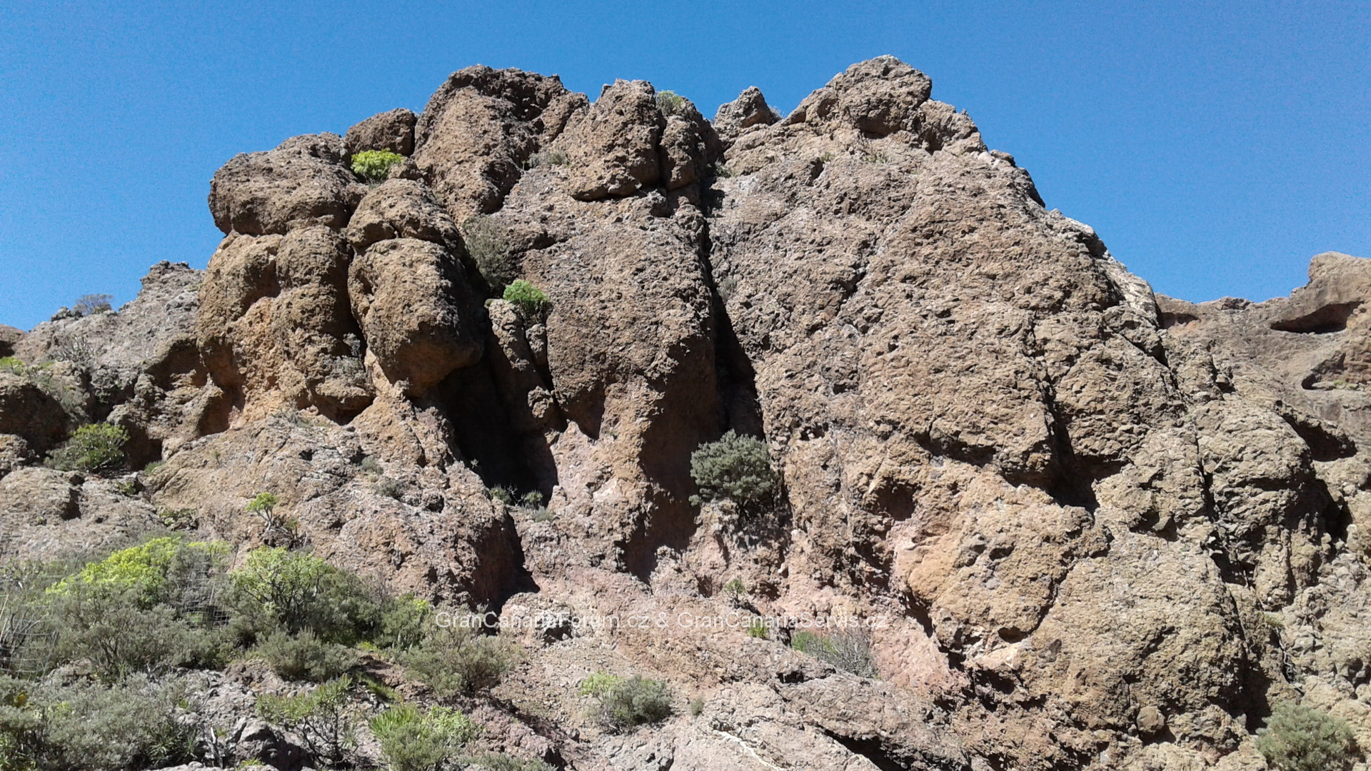 021_resize