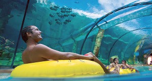 siam-park.jpg