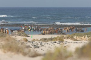 mojzis-nataceni-fuerteventura.jpg