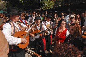 fiesta-del-almendro-en-flor-tejeda-2014.jpg