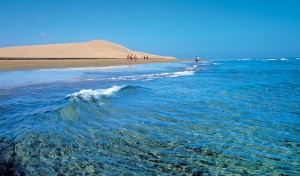 la-playa-de-maspalomas-en-gran-canaria2.jpg