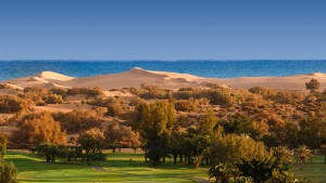 mamspalomas-golf.jpg