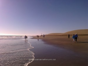 fotografie0836_resize.jpg