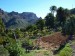 PC164852_resize