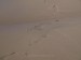 P1275506_resize
