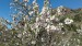 087_resize